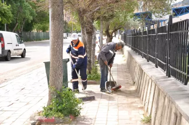 Söğüt'te Bahar Temizliği