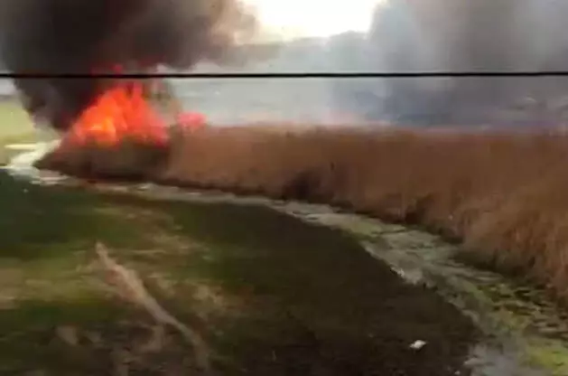 Van'da Hayvan Neslini Tehlikeye Sokan Yangın