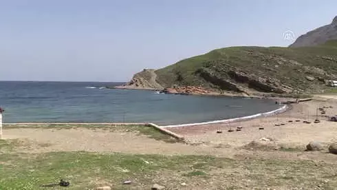 Akvaryum Adam' Troya Atı'yla Rekor Kıracak Akvaryum Adam' Troya Atı'yla Rekor Kıracak