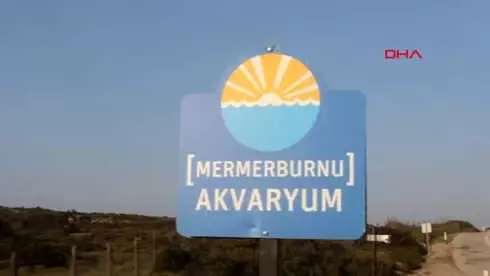 Çanakkale Bozcaada Akvaryum Koyu'nda İkinci Kapı Krizi