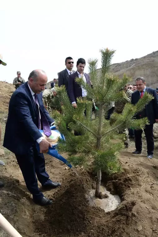 Erzurum'da Fidanlar Toprakla Buluştu Erzurum'da Fidanlar Toprakla Buluştu