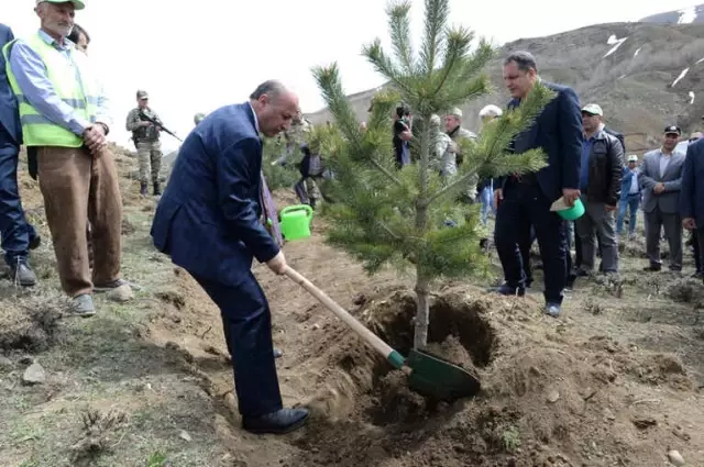 Erzurum'da Fidanlar Toprakla Buluştu Erzurum'da Fidanlar Toprakla Buluştu