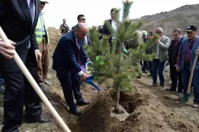 Erzurum'da Fidanlar Toprakla Buluştu Erzurum'da Fidanlar Toprakla Buluştu