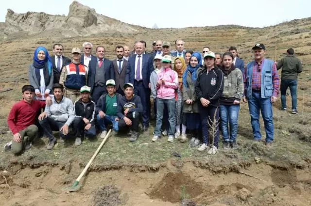 Erzurum'da Fidanlar Toprakla Buluştu Erzurum'da Fidanlar Toprakla Buluştu