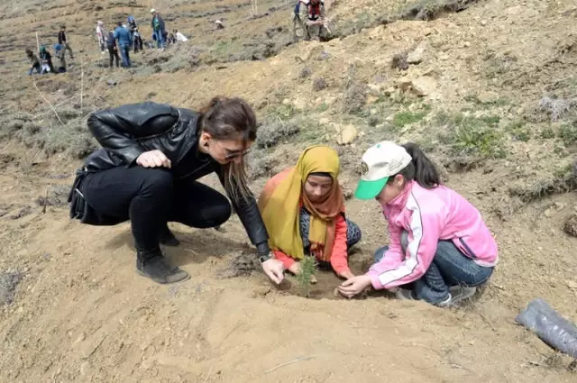 Erzurum'da Fidanlar Toprakla Buluştu Erzurum'da Fidanlar Toprakla Buluştu