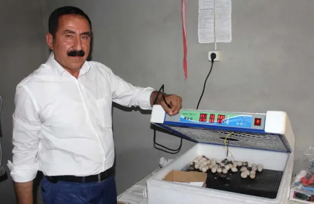 Doğa Dostu Muhtar Kuluçka Makinesinde Keklik Yetiştiriyor Doğa Dostu Muhtar Kuluçka Makinesinde Keklik Yetiştiriyor