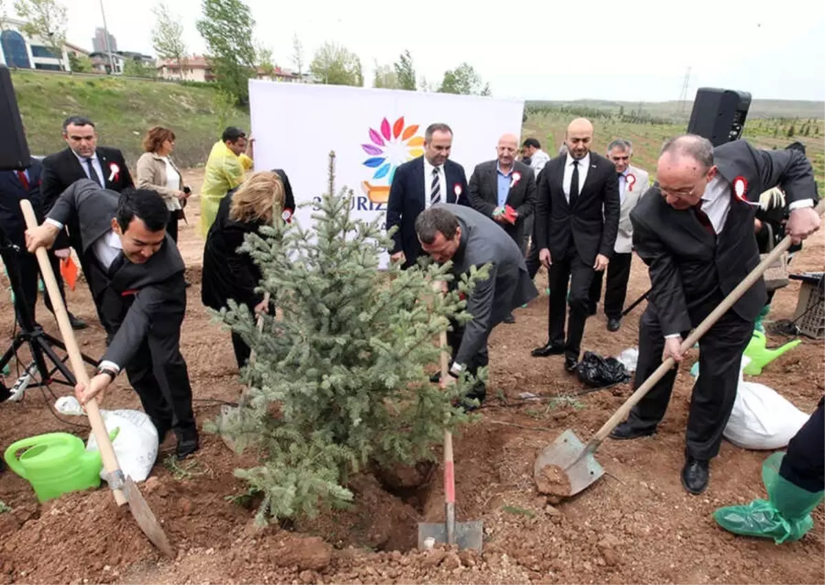 3. Turizm Şurası Hatıra Ormanı'nın İlk Fidanı Toprakla Buluştu