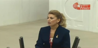 CHP Milletvekili Didem Engin : Cumhurbaşkanlığı Aday Adayıyım