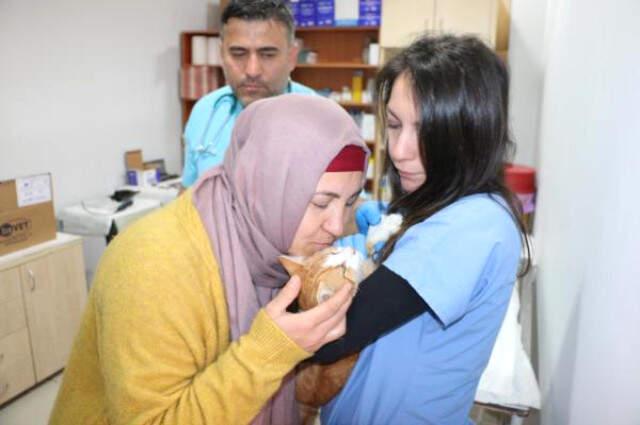 Yaşaması Mucize! Zonguldak'ta Kimliği Belirsiz Kişiler Kediye Tecavüz Etti