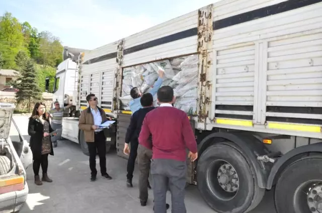 Ordu'da Organik Tarımda Sevindirici Gelişme