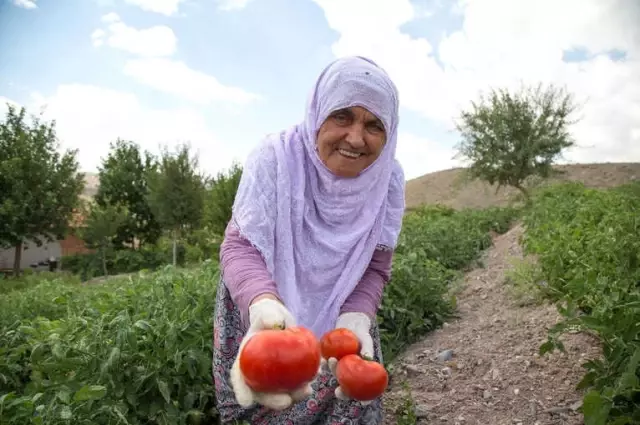 Ankara Büyükşehir Belediyesi Yok Olma Tehlikesi İçindeki Türlerin Üretimini Artıracak Ankara Büyükşehir Belediyesi Yok Olma Tehlikesi İçindeki Türlerin Üretimini Artıracak