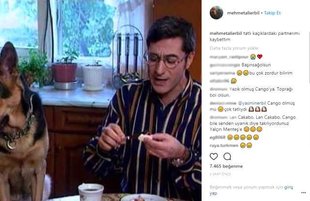 Mehmet Ali Erbil Paylaştı! Tatlı Kaçıklar'ın Cango'su Öldü