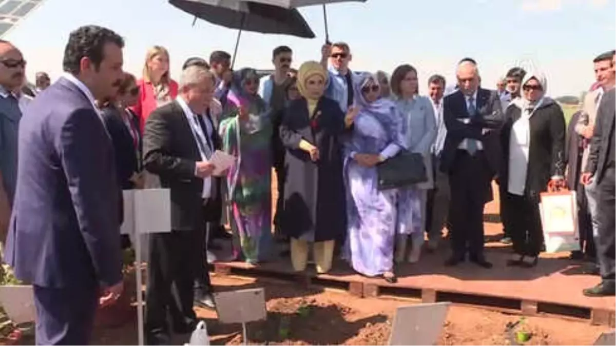 3. Yerel Tohum Buluşmaları Şanlıurfa' Etkinliği - Emine Erdoğan, Fidan Dikti