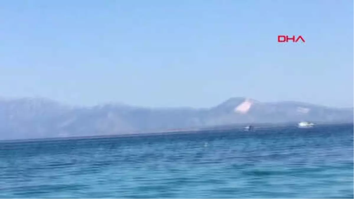 İzmir-Angut Kuşları Şifne'de Görüntülendi