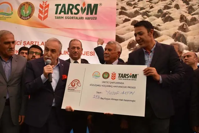 Erdoğan Talimatı Vermişti, 300 Koyun Projesine Şırnak'ta Start Verildi