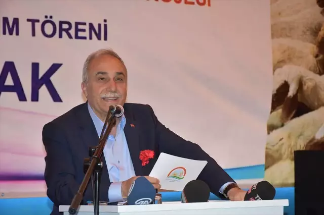 Erdoğan Talimatı Vermişti, 300 Koyun Projesine Şırnak'ta Start Verildi