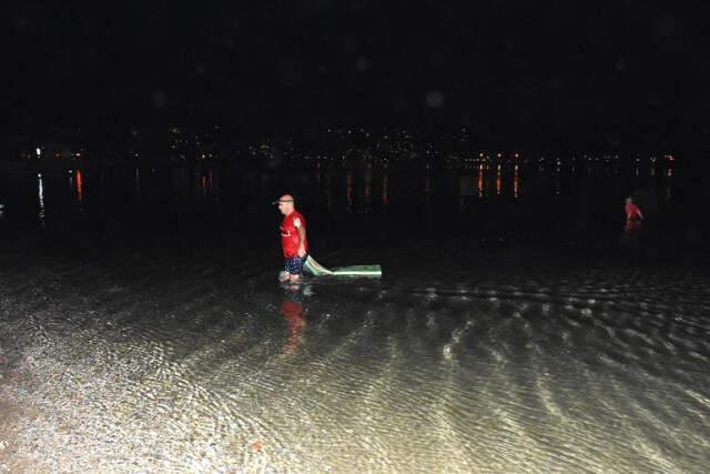 Denizde Görülen Siyah Kuğu Kayboldu