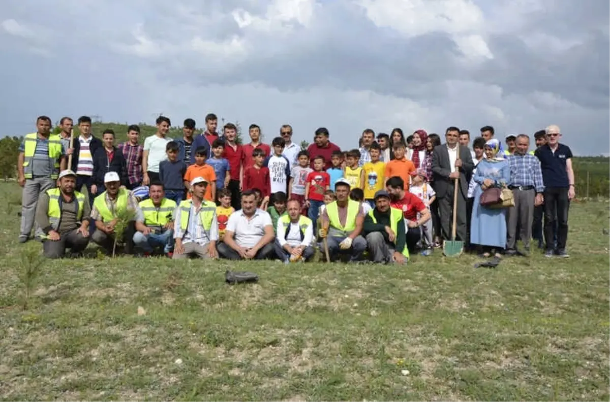 Emet'te Afrin Şehitleri İçin Hatıra Ormanı Oluşturuldu