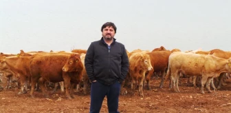 Hacıince: 'Et Fiyatında İstikrar İçin İthalat Yerine, Yerli Üretime Destek Zorunludur'