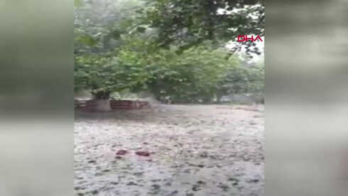 Adana-Şiddetli Dolu Yağışı, Çifçiyi Vurdu