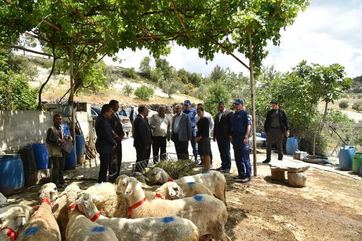 Karacasulu Şehit Ailesine Valilikten Destek