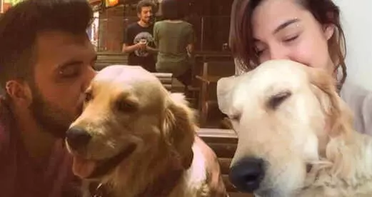 Ayrılan Sevgililer Besledikleri Köpek Yüzünden Mahkemelik Oldu