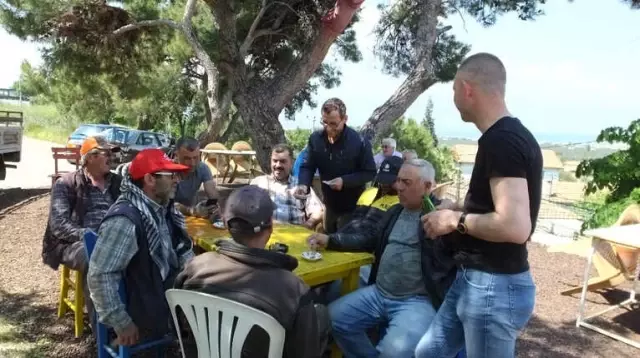Burhaniye'de Kırlangıçlar Kahvehaneyi Mesken Tuttu