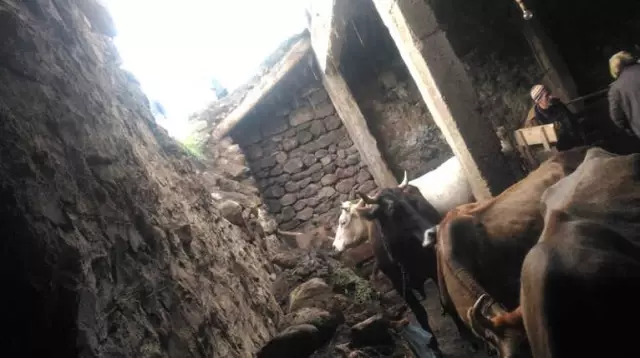 Horasan'da Ahır Çöktü