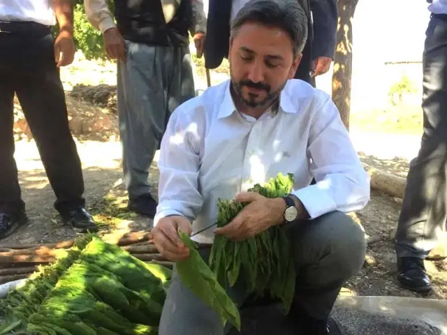 TBMM Başkanvekili Aydın: