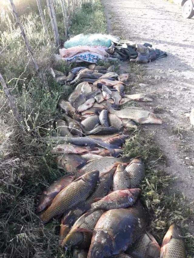 Adıyaman'da Kaçak Avcılara Ceza