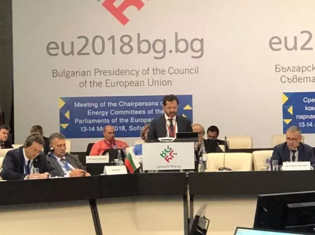Altunyaldız, AB Parlamentoları Enerji Komisyonu Başkanları Toplantısına Katıldı