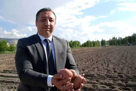 Niğde'de 10 Bin Adet Yerli Patates Çeşidi Dikildi