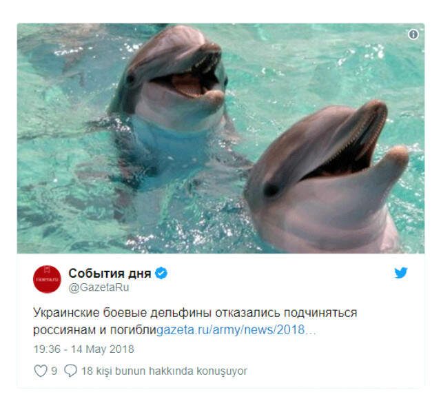 Ukrayna'dan İlginç İddia: Rusların Emirlerine Uymayı Reddeden Yunuslar Açlık Grevine Girip Öldü
