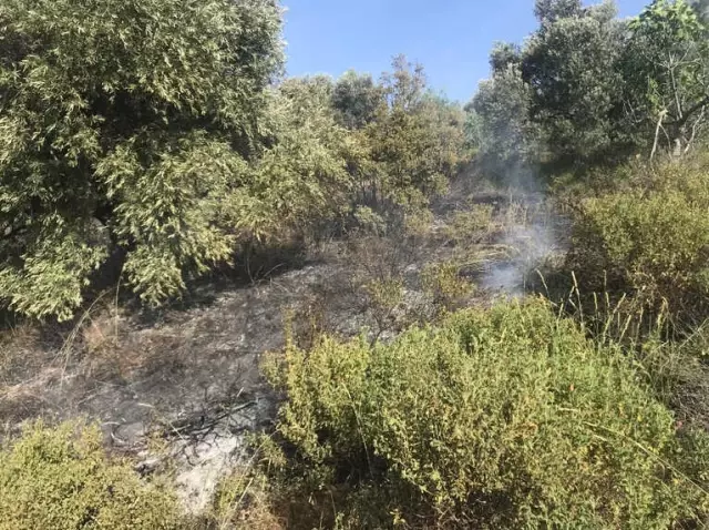 Aydın'da Yangın
