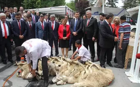 Kayseri'de MHP'nin 10 Adayı İçin 10 Kurban Kesildi