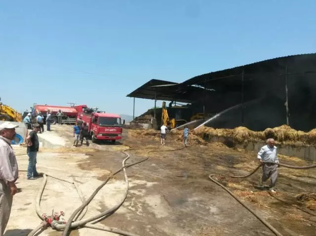 15 Bin Paket Saman Yangında Kül Oldu 15 Bin Paket Saman Yangında Kül Oldu