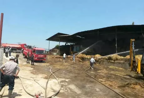 Alevler 15 Bin Balya Samanı Kül Etti Alevler 15 Bin Balya Samanı Kül Etti