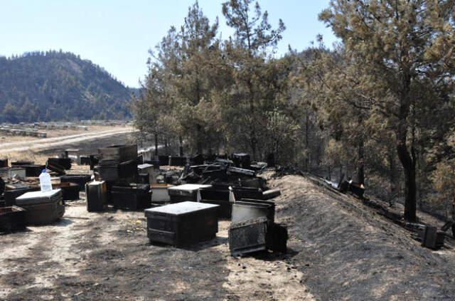 Ormanlık Alanda Çıkan Yangında Alevler, Bal Dolu Kovanları ve Arıları da Yuttu