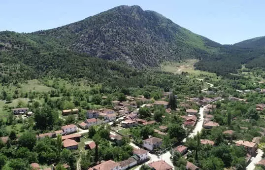 Evlerini Bıraktılar Tohumlarını Bırakmadılar