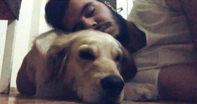 Eski Sevgililerin Köpek Davası Avukatlar Yüzünden Yarım Kaldı