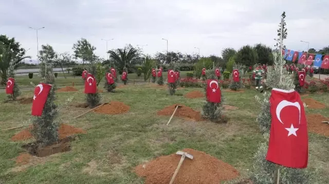 Afrin Şehitleri İçin Trabzon'da Hatıra Ormanı Oluşturuldu Afrin Şehitleri İçin Trabzon'da Hatıra Ormanı Oluşturuldu