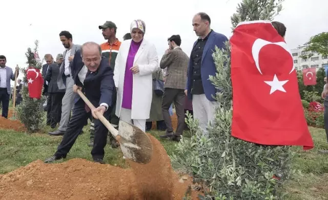 Afrin Şehitleri İçin Trabzon'da Hatıra Ormanı Oluşturuldu Afrin Şehitleri İçin Trabzon'da Hatıra Ormanı Oluşturuldu