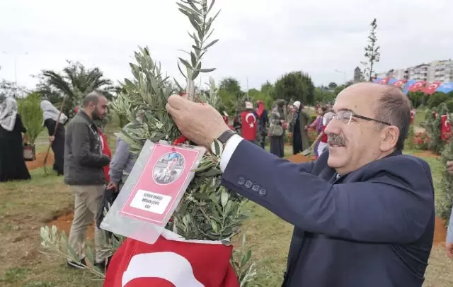 Afrin Şehitleri İçin Trabzon'da Hatıra Ormanı Oluşturuldu Afrin Şehitleri İçin Trabzon'da Hatıra Ormanı Oluşturuldu