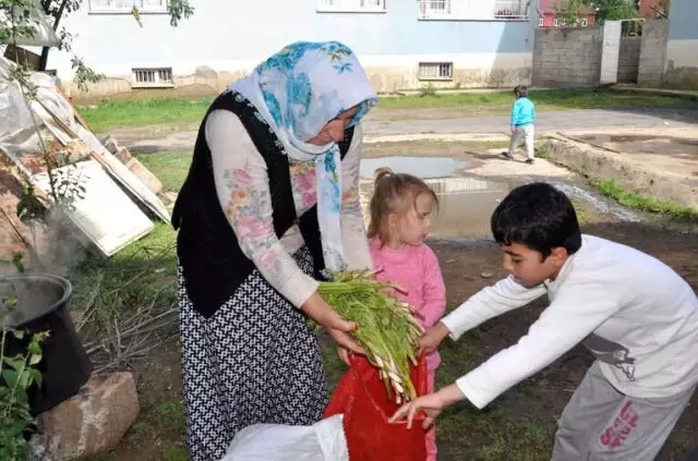Sofraların Vazgeçilmezi Cağ Bitkisine Büyük İlgi Sofraların Vazgeçilmezi Cağ Bitkisine Büyük İlgi