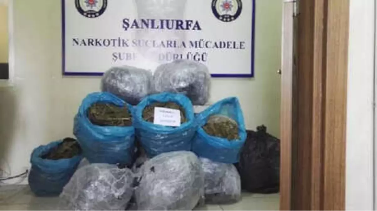 Minibüste 121 Kilo Esrar Ele Geçirildi