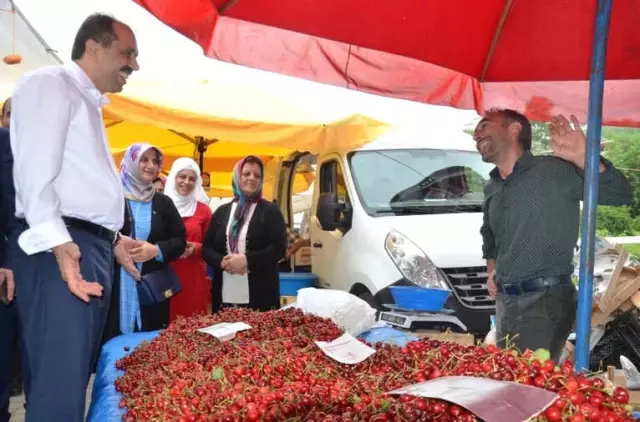TBMM Çevre Komisyonu Başkanı Balta, 'Türkiye'nin Yükselişini Kimse Durduramayacak' TBMM Çevre Komisyonu Başkanı Balta, 'Türkiye'nin Yükselişini Kimse Durduramayacak'