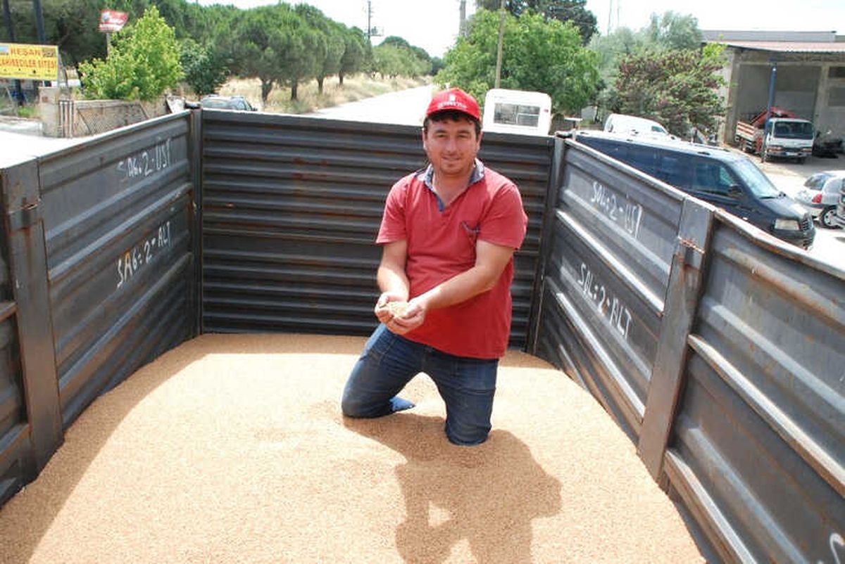 Keşan'da Yılın İlk Buğdayı 2.10 TL'den Satıldı