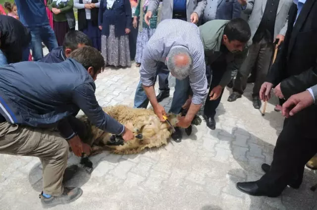 AK Parti Adayı Kartal'a Kurbanlı Karşılama AK Parti Adayı Kartal'a Kurbanlı Karşılama