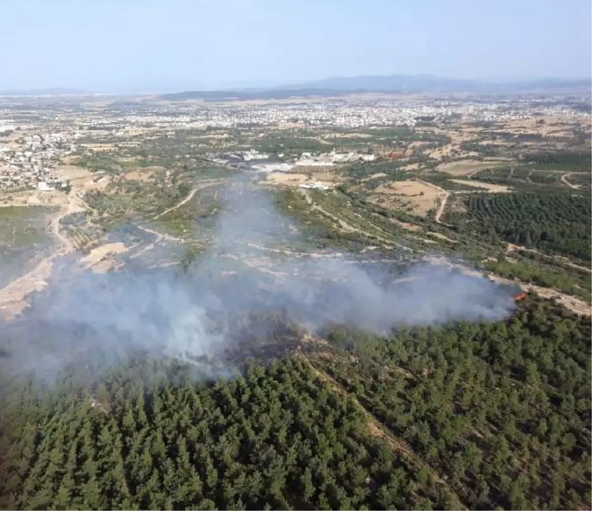 İzmir Menderes�te Orman Yangını Çıktı Haberler