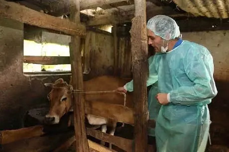Artvin'de Karantinadaki 5 İlçede Aşılama Çalışması